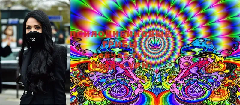 Псилоцибиновые грибы Cubensis  Белая Калитва 