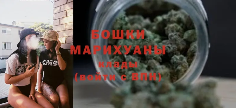 как найти наркотики  Белая Калитва  МАРИХУАНА OG Kush 